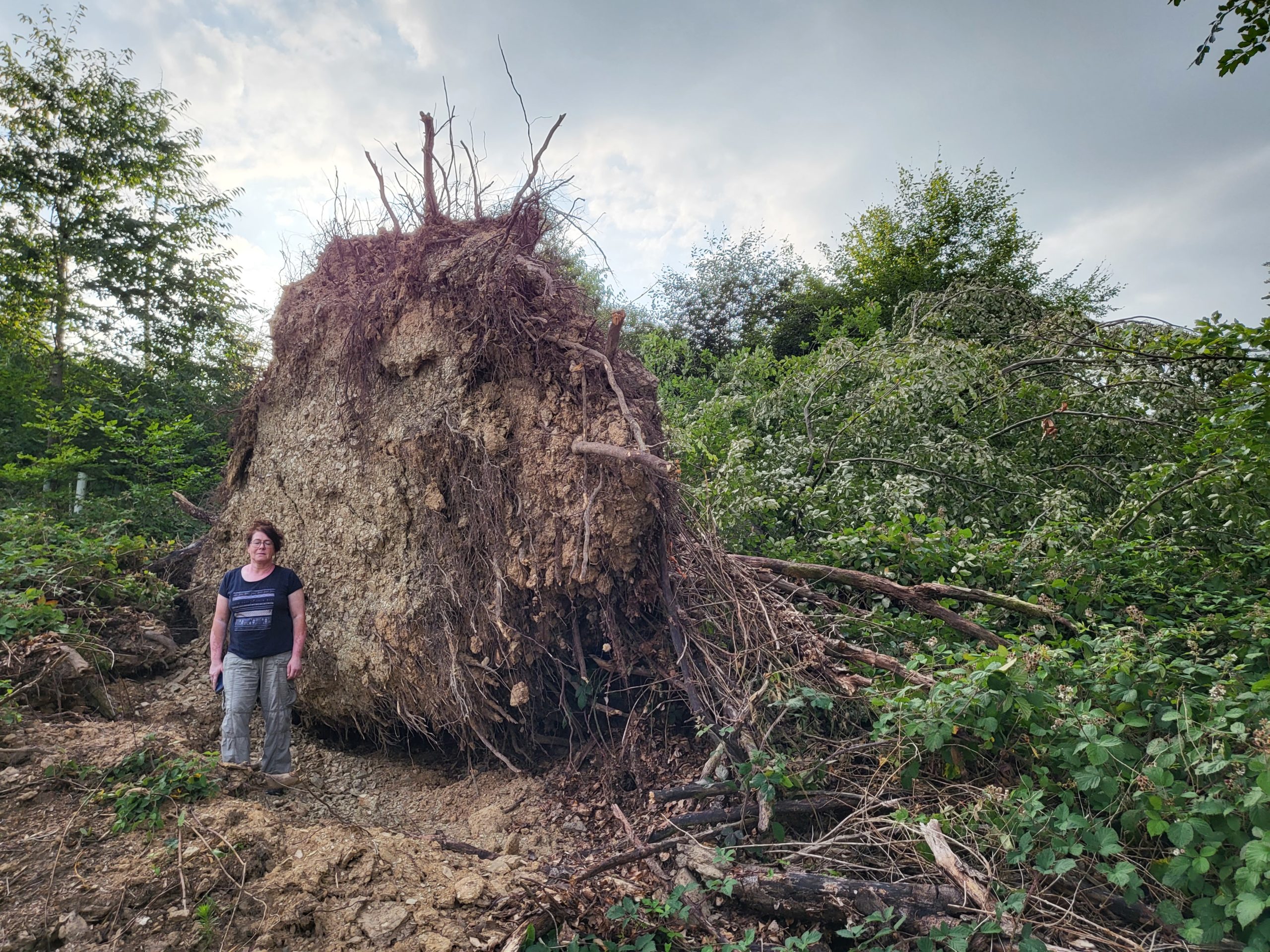 Naturgewalten zerstören Waldbereich in Dornholzhausen
